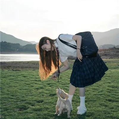 鲨颤